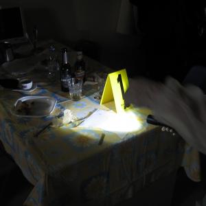 Laboratori di "Raccolta e gestione delle tracce"
