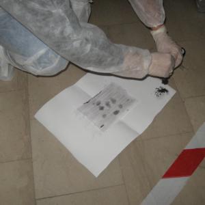 Laboratori di "Raccolta e gestione delle tracce"