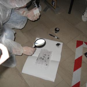 Laboratori di "Raccolta e gestione delle tracce"