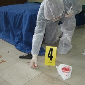 Laboratori di "Raccolta e gestione delle tracce"