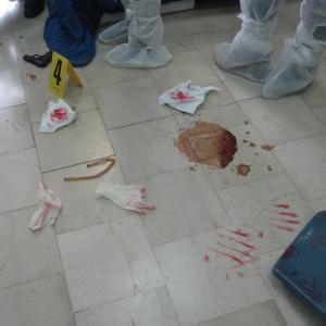 Laboratori di "Raccolta e gestione delle tracce"