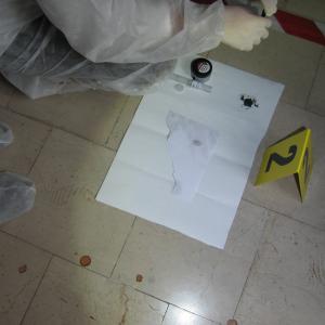 Laboratori di "Raccolta e gestione delle tracce"
