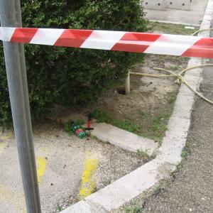 Laboratori di "Raccolta e gestione delle tracce"