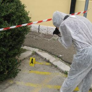 Laboratori di "Raccolta e gestione delle tracce"