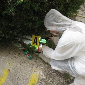 Laboratori di "Raccolta e gestione delle tracce"