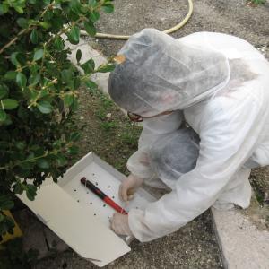 Laboratori di "Raccolta e gestione delle tracce"