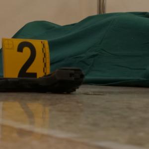 Giornata per l'orientamento e il tutorato