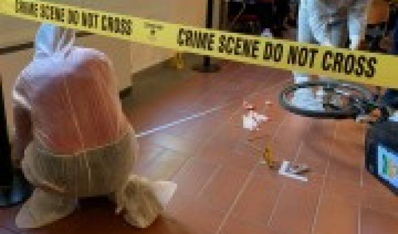 crime